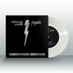 RYpsyche_whitelVinylMockUp__28996.1409259425.300.310